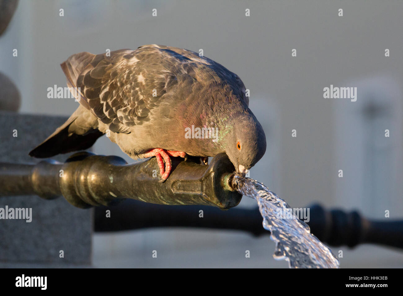 Arte, statua, antico, arte, closeup, pietra, statua, turismo, scultura, europa Foto Stock