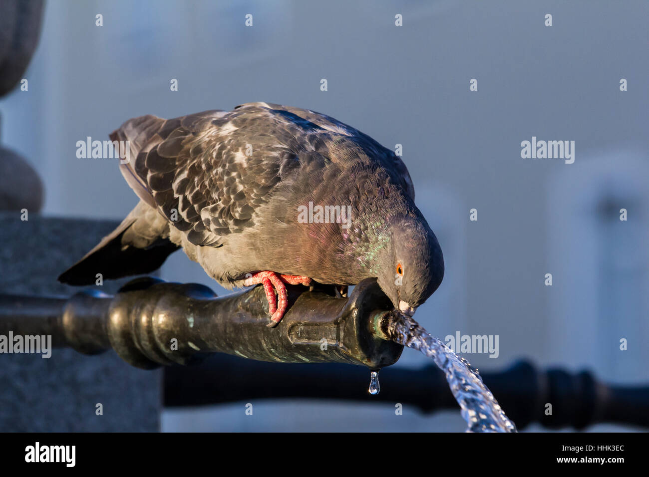 Arte, statua, antico, arte, closeup, pietra, statua, turismo, scultura, europa Foto Stock