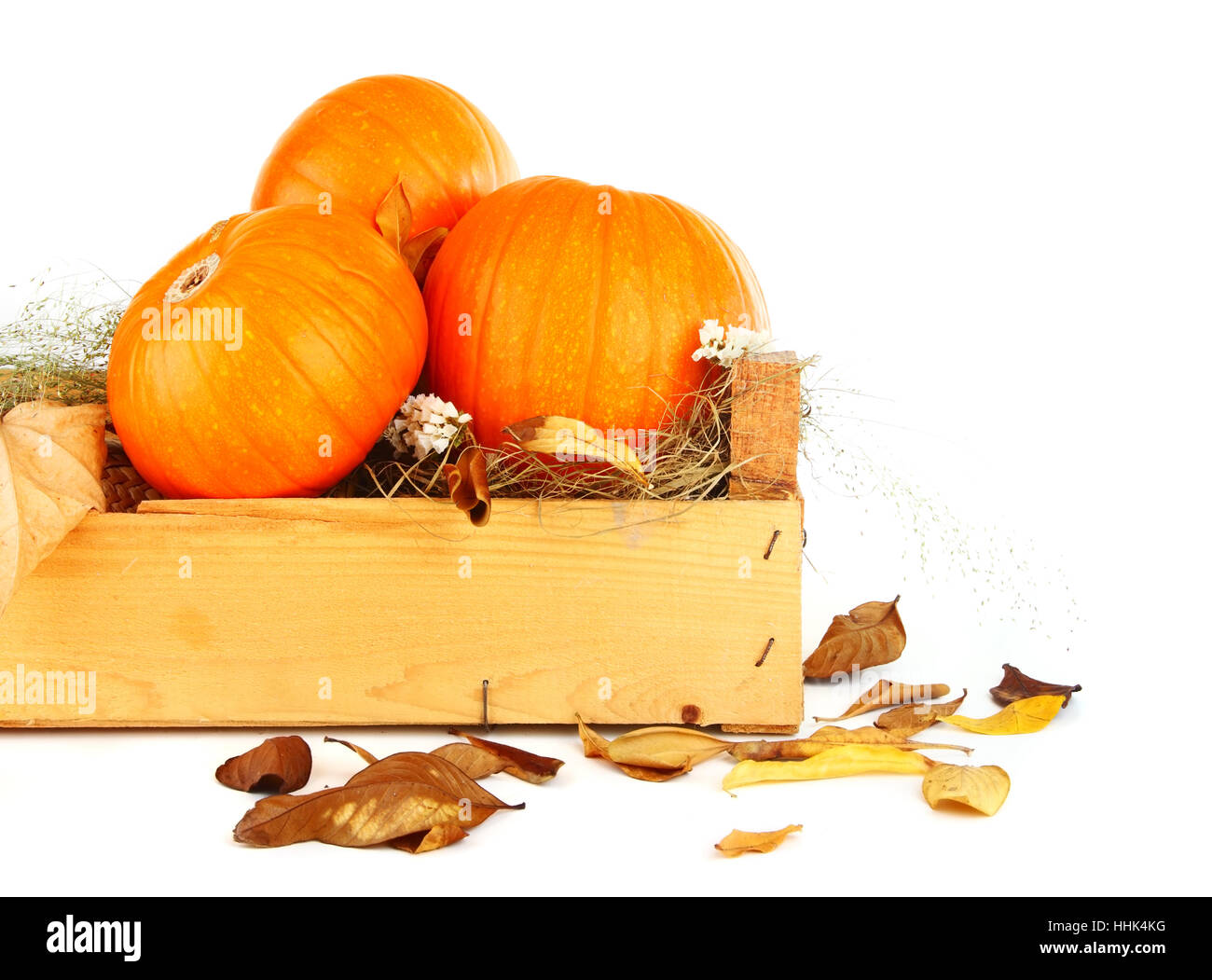 Arancione, foglie, raccolto, secco, essiccate, sterile, zucca, ottobre, di ringraziamento, Foto Stock