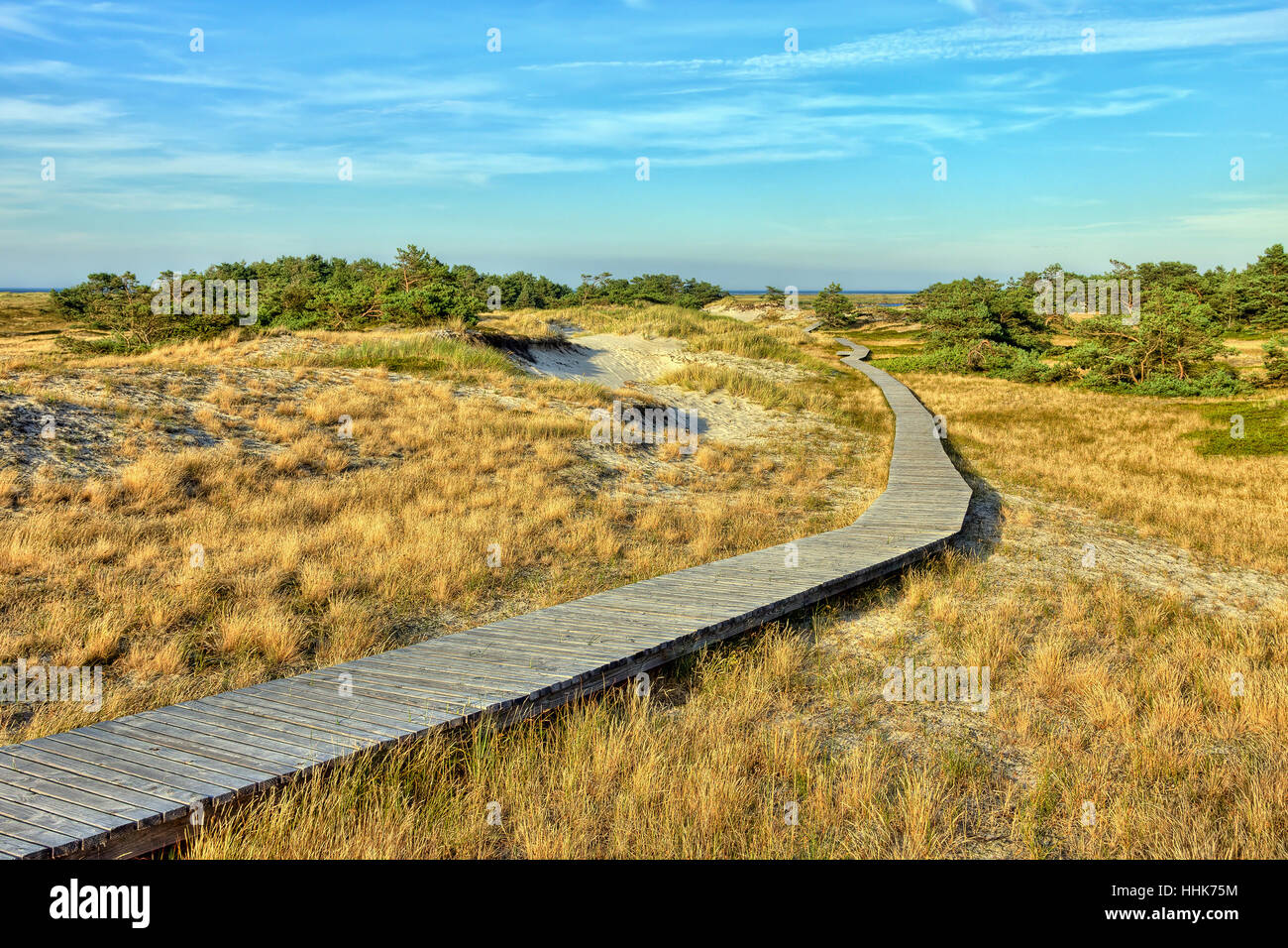 Blu, legno, la conservazione della natura, percorso, modo, firmamento cielo, acqua salata, sul mare Foto Stock