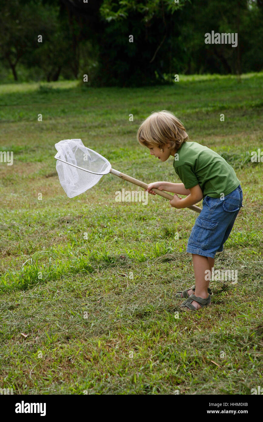 Little Boy cercando di catturare insetti in un net. Foto Stock