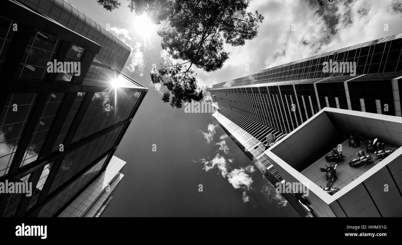 Guardando verso l'alto l'Eureka Tower e Queen Bee Colony sulla sponda sud del CBD di Melbourne, Victoria Australia Foto Stock