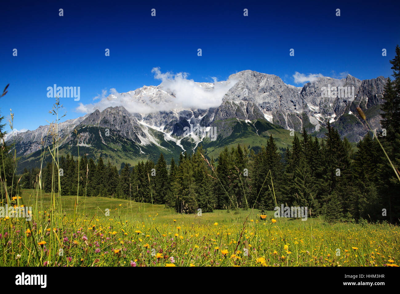 Alpi, massiccio, alpenstock, prato, montagna, blu, bella, beauteously, Nizza, Foto Stock