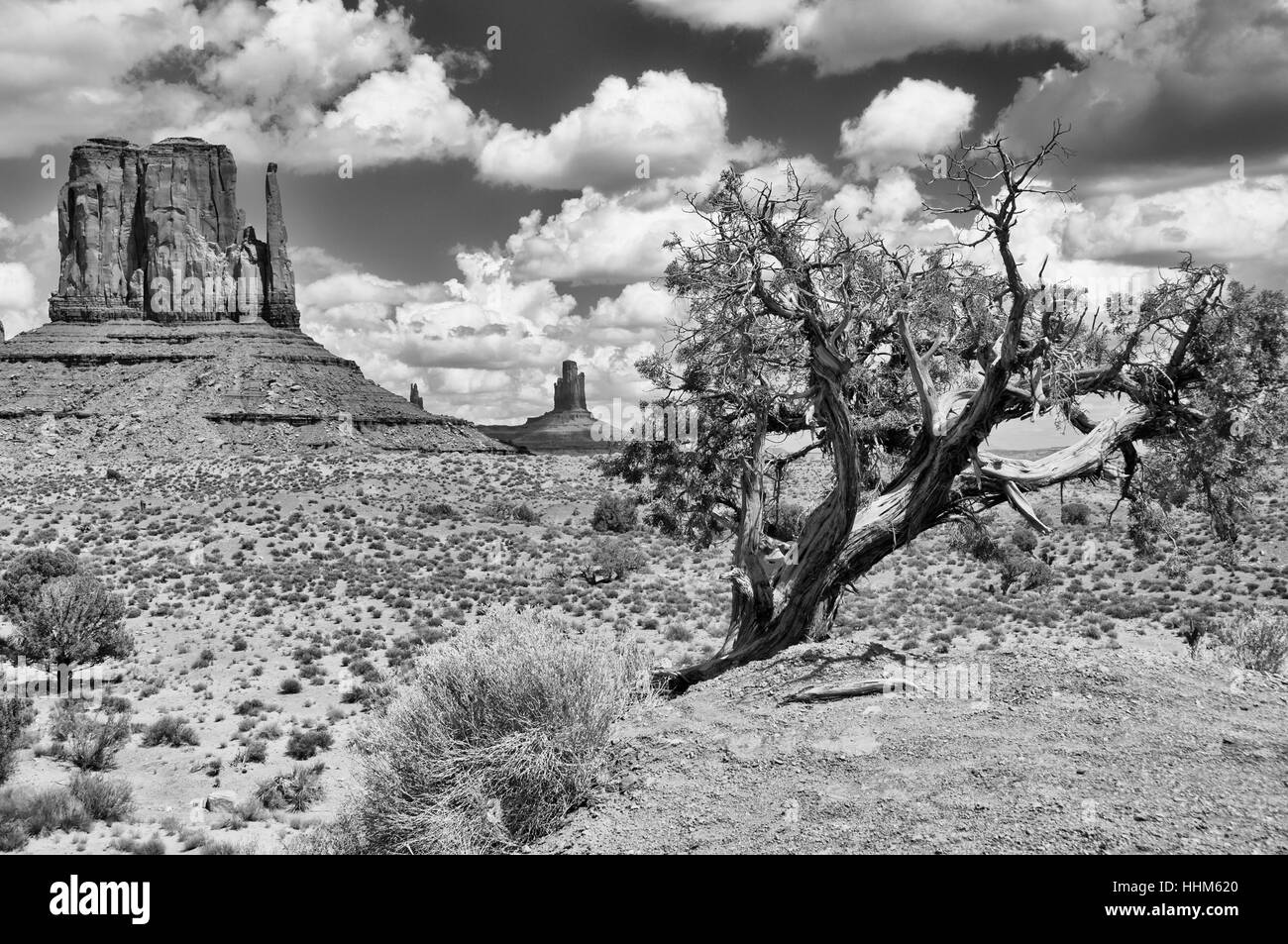 Blu, viaggiare, monumento, Horizon, parco, pietra, deserto wasteland, legno, selvatici, Foto Stock