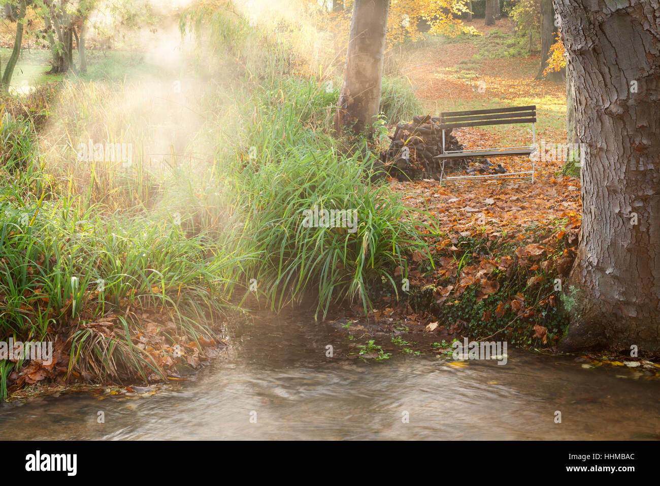 Fawley House Garden. Novembre 2016. Tiered 2.5 acri di giardino con prati, alberi maturi, formale di copertura, stream e sentieri di ghiaia. Foto Stock