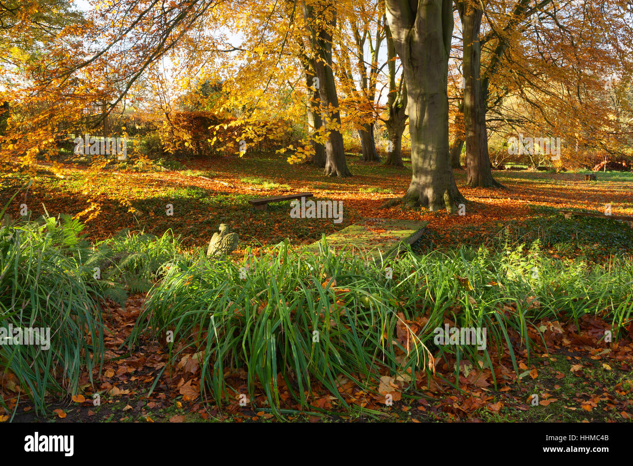 Fawley House Garden. Novembre 2016. Tiered 2.5 acri di giardino con prati, alberi maturi, formale di copertura, stream e sentieri di ghiaia. Foto Stock