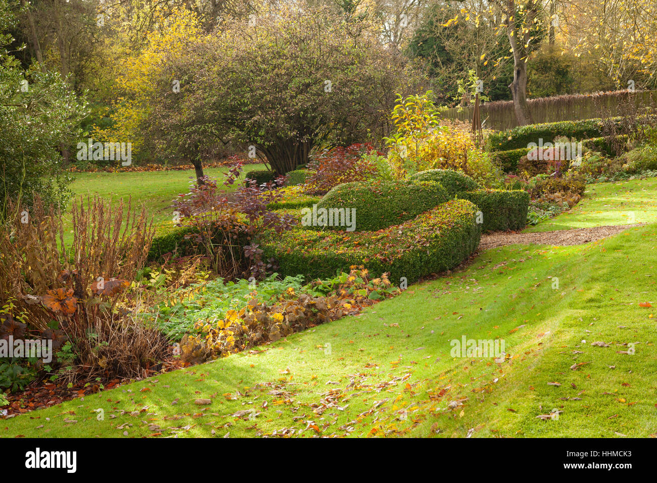Fawley House Garden. Novembre 2016. Tiered 2.5 acri di giardino con prati, alberi maturi, formale di copertura, stream e sentieri di ghiaia. Foto Stock