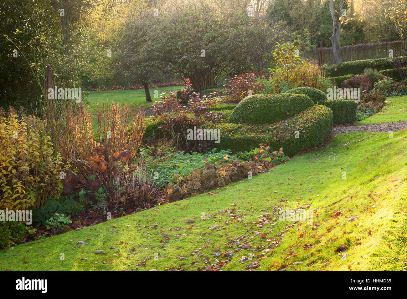 Fawley House Garden. Novembre 2016. Tiered 2.5 acri di giardino con prati, alberi maturi, formale di copertura, stream e sentieri di ghiaia. Foto Stock
