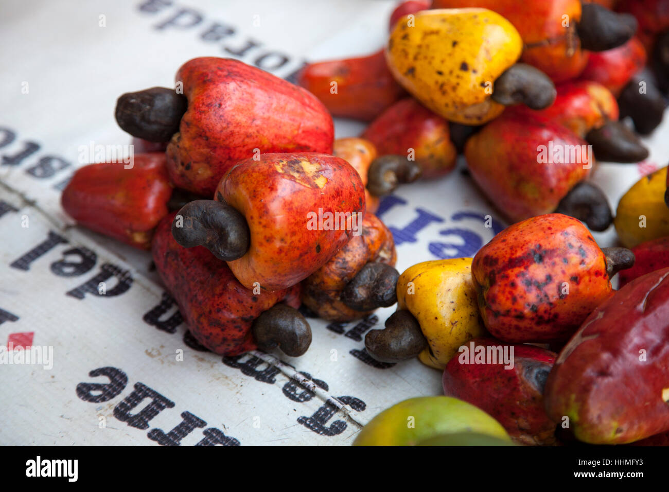 Caju, o frutta di anacardi, per la vendita al confine del Perù e della Colombia nella foresta pluviale amazzonica. Foto Stock