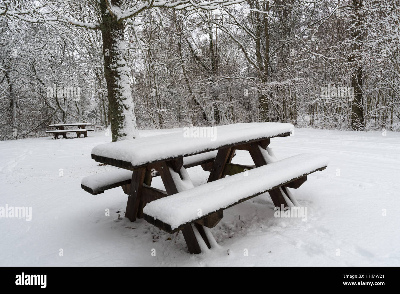 Coperta di neve panche e tavoli all'aperto in un bosco innevato Foto Stock