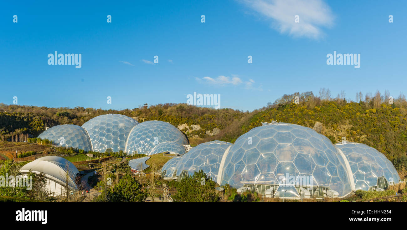 Molla all'Eden Project Cornovaglia Foto Stock