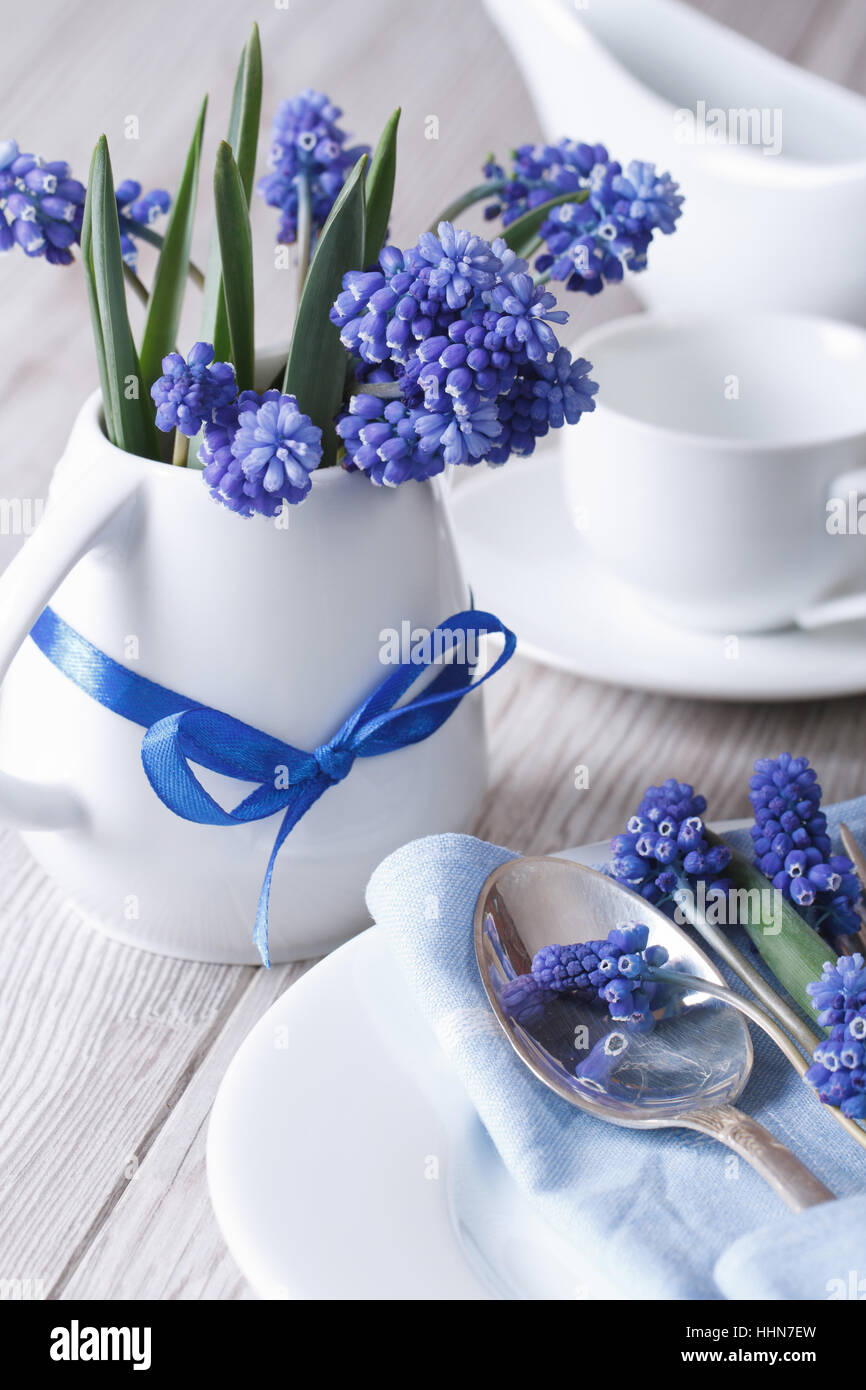 Elegante messa in tavola con splendidi fiori blu verticale muscari Foto Stock