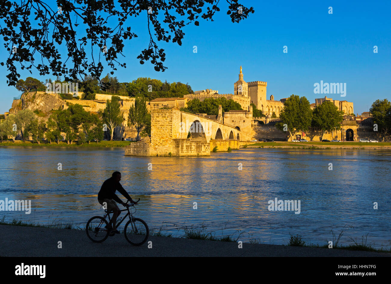 Avignone, Provence-Alpes-Côte d'Azur, in Francia. Palais des Papes e Pont St-Benezet. Il Palazzo dei Papi e San Benezet bridge visto attraverso il Rodano Foto Stock