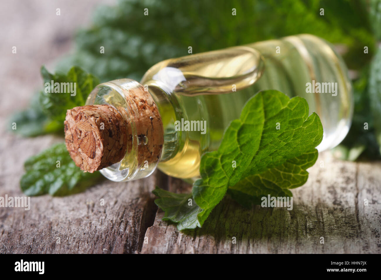 Gli oli aromatici balsamo di limone in una bottiglia di vetro con le foglie fresche orizzontale macro Foto Stock