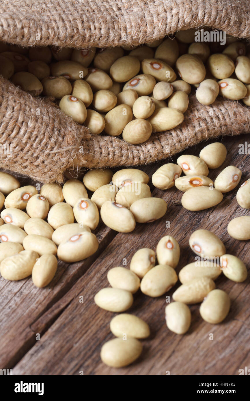Raccolta Dei Fagioli A Cespuglio Verdi, Gialli E Porpora, Piselli - Foto 2
