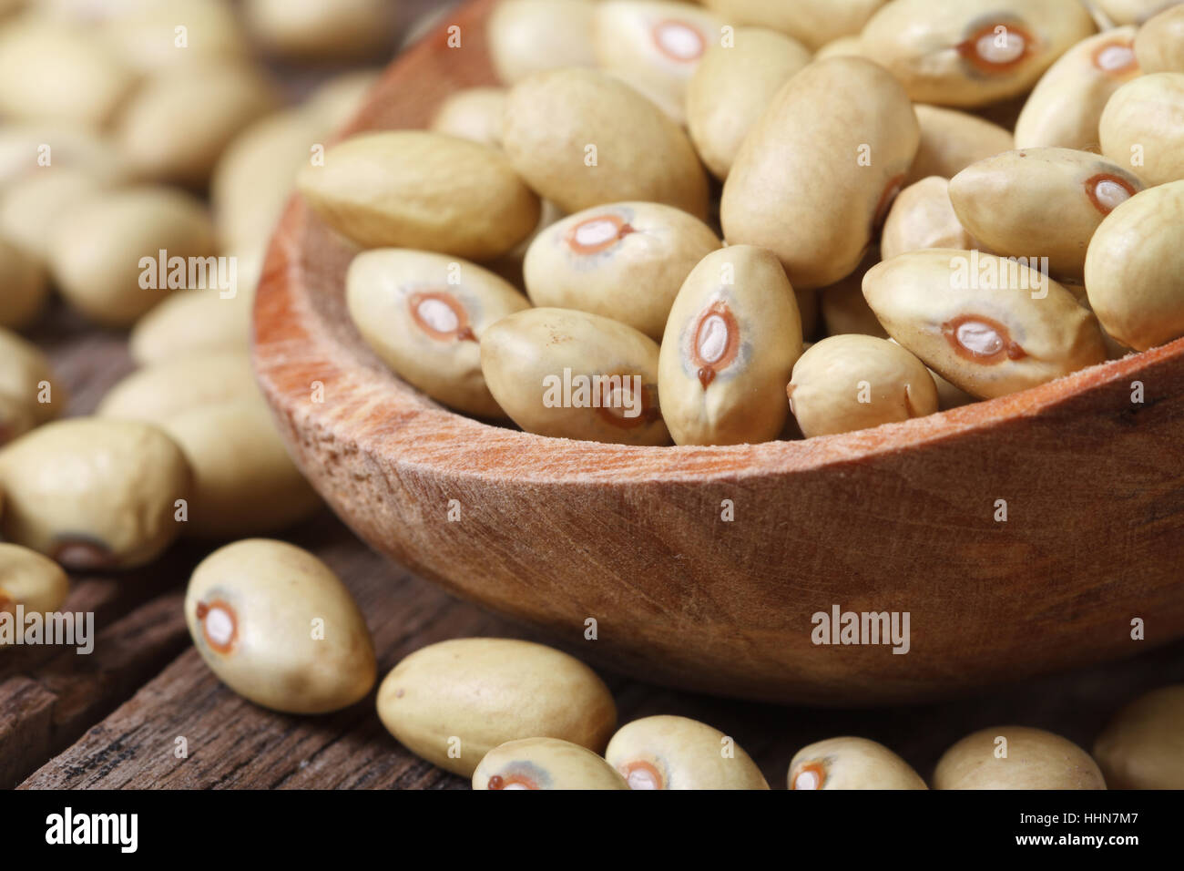 Raccolta Dei Fagioli A Cespuglio Verdi, Gialli E Porpora, Piselli - Foto 12