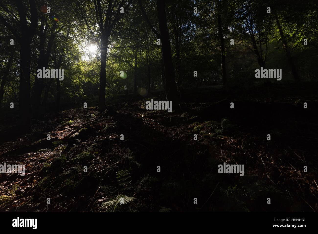 Parco Nazionale di Peak District, un luogo preferito per i fine settimana gite con tutta la famiglia. Foto Stock