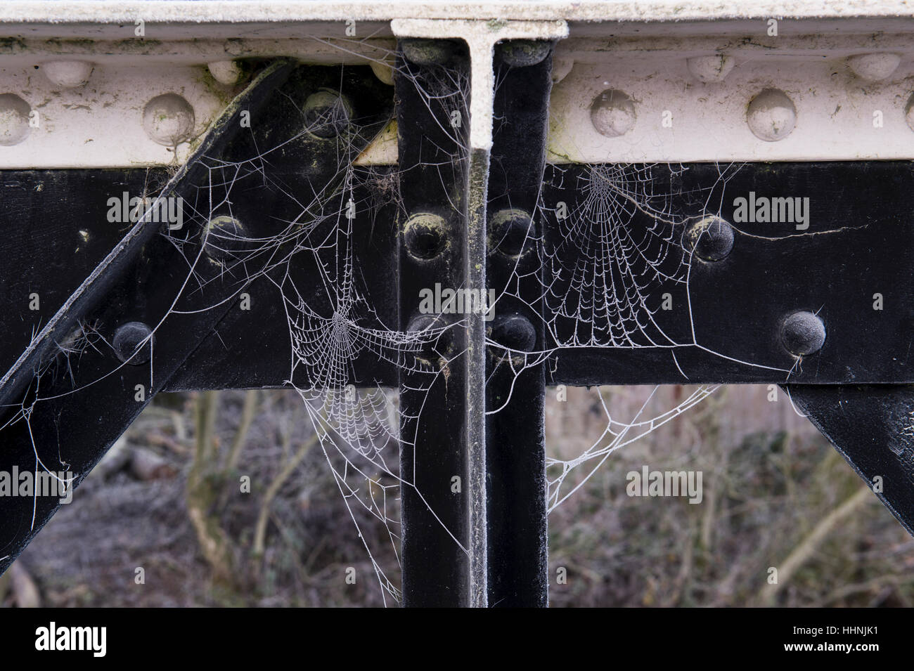 Brina coperta di ghiaccio su un ponte di ferro. REGNO UNITO Foto Stock