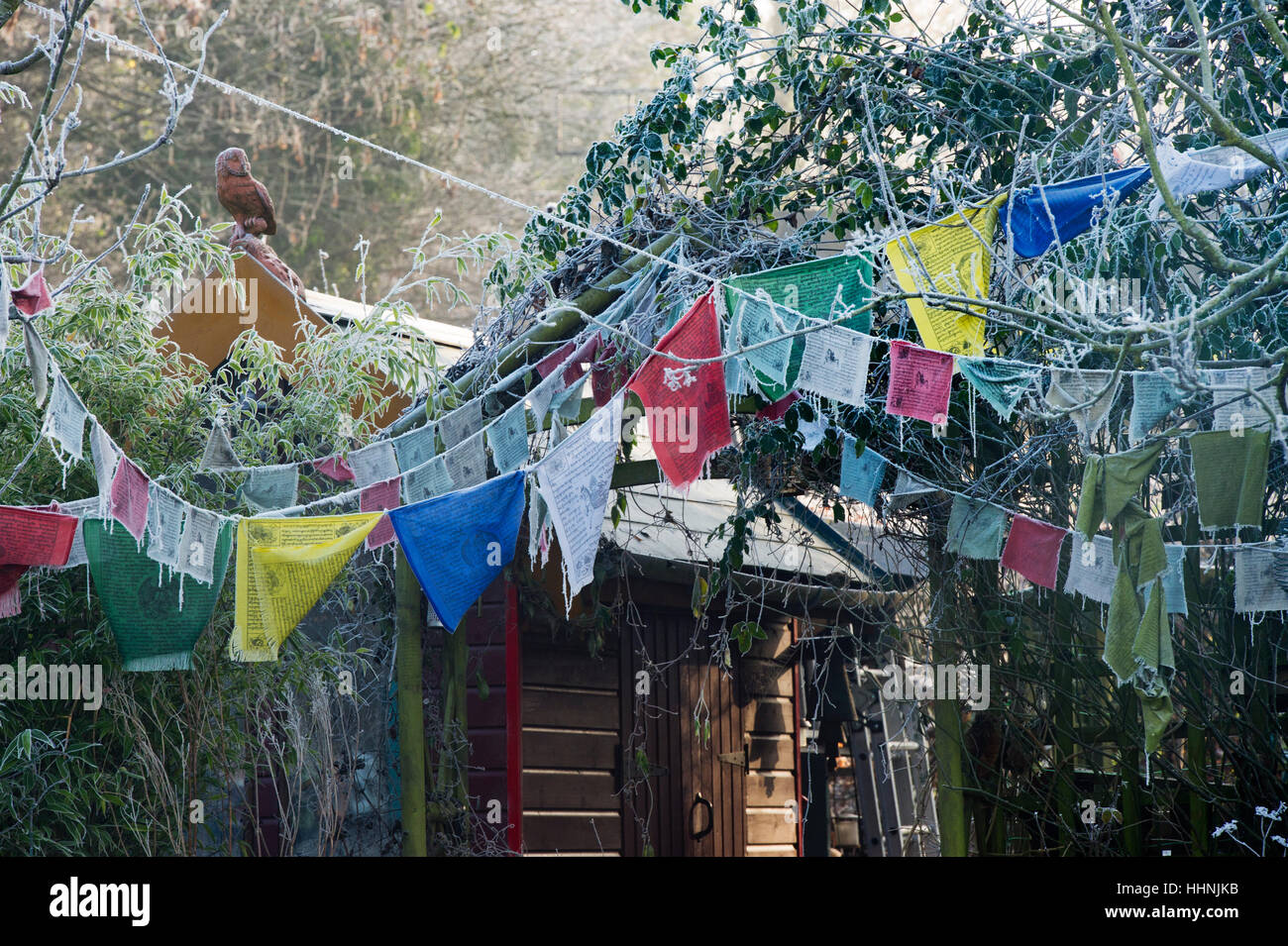 Coperto di brina preghiera tibetano flag in un giardino. Somerton, Nord Oxfordshire, Inghilterra Foto Stock