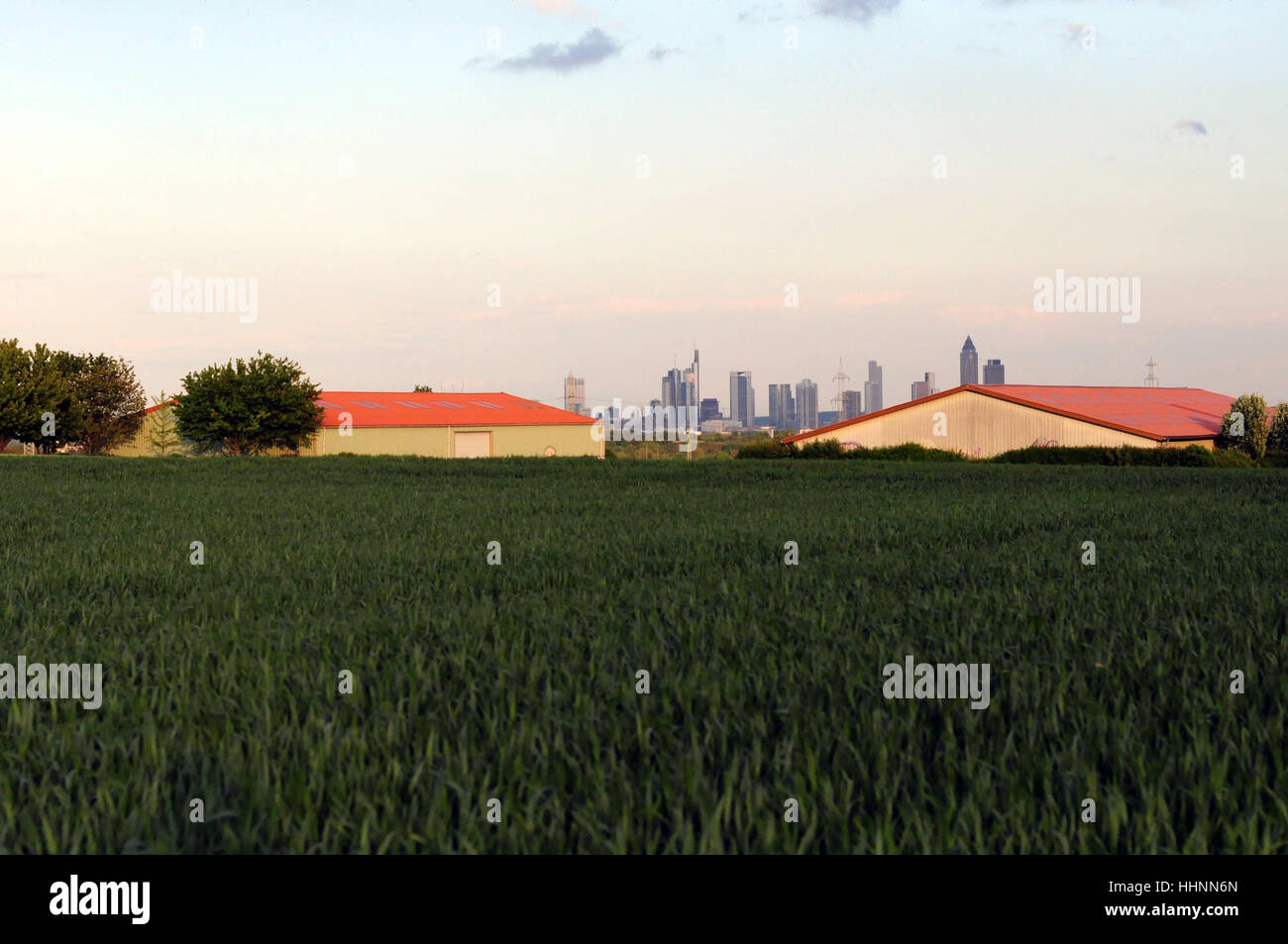 Case, campo, Francoforte, skyline, case, campo, Francoforte, Vista, Vista, Foto Stock