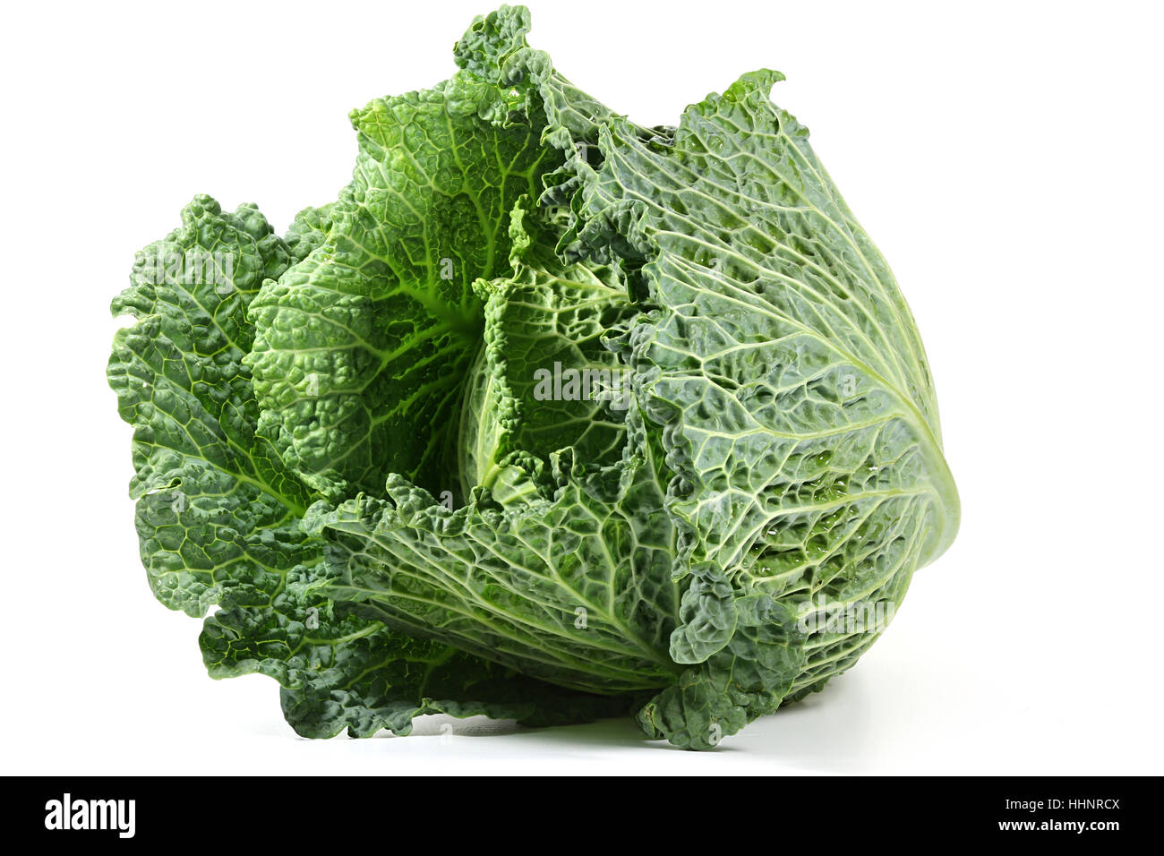 Cavolo verza da agricoltura biologica isolati su sfondo bianco Foto Stock