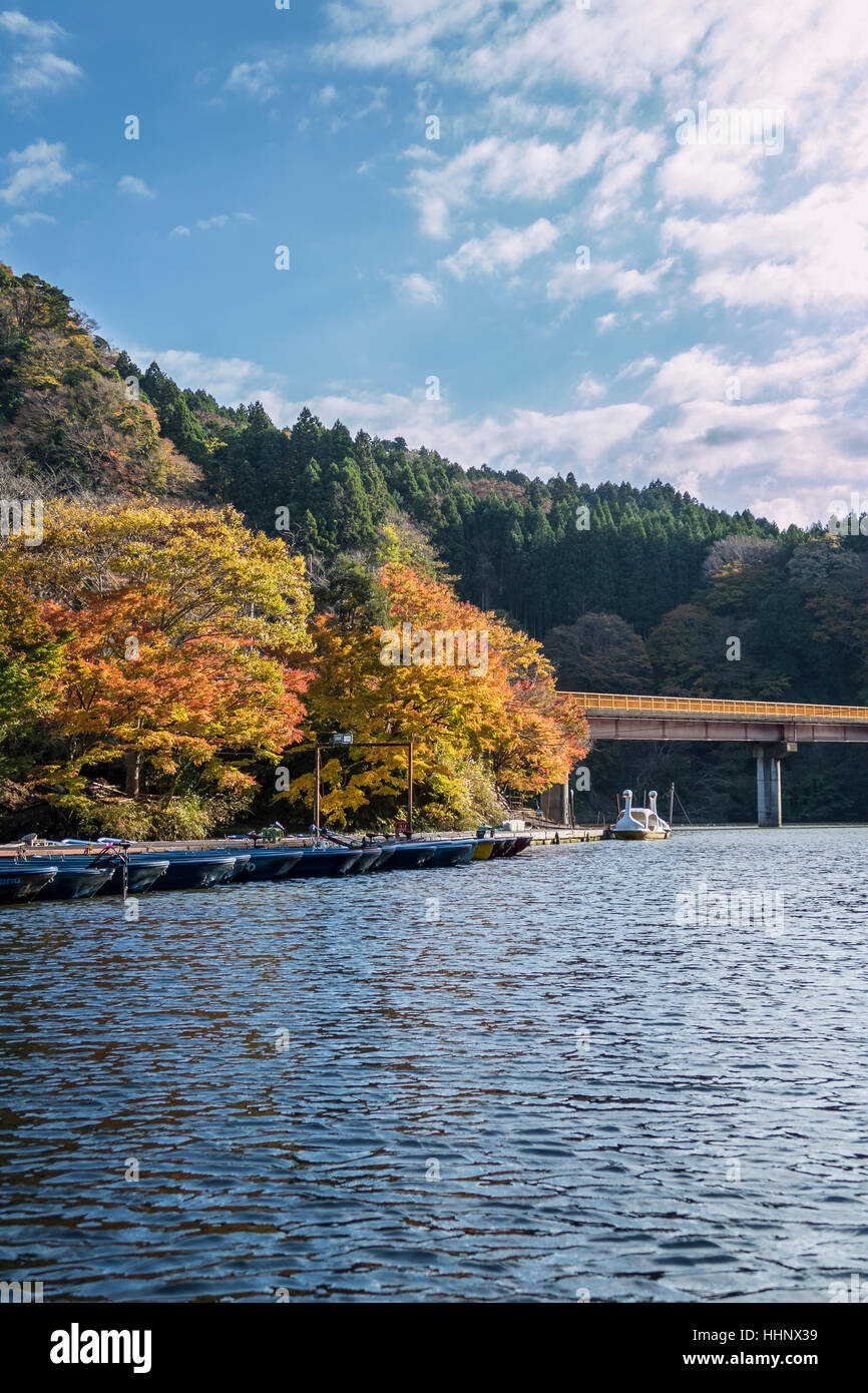 Kameyama Lago in autunno, Chiba, Giappone Foto Stock