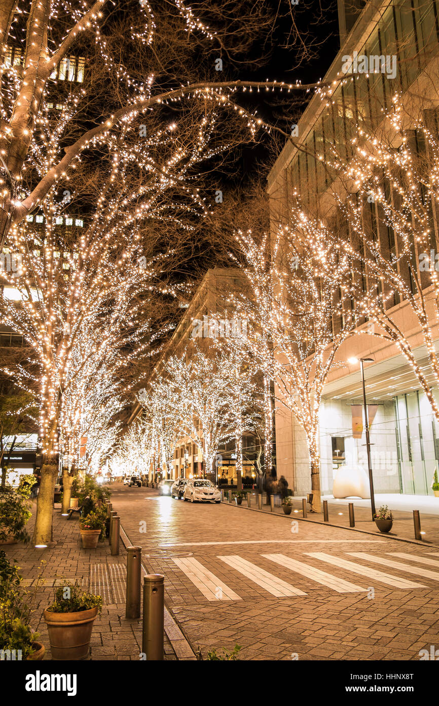 Le Luminarie a Marunouchi, Tokyo, Giappone Foto Stock