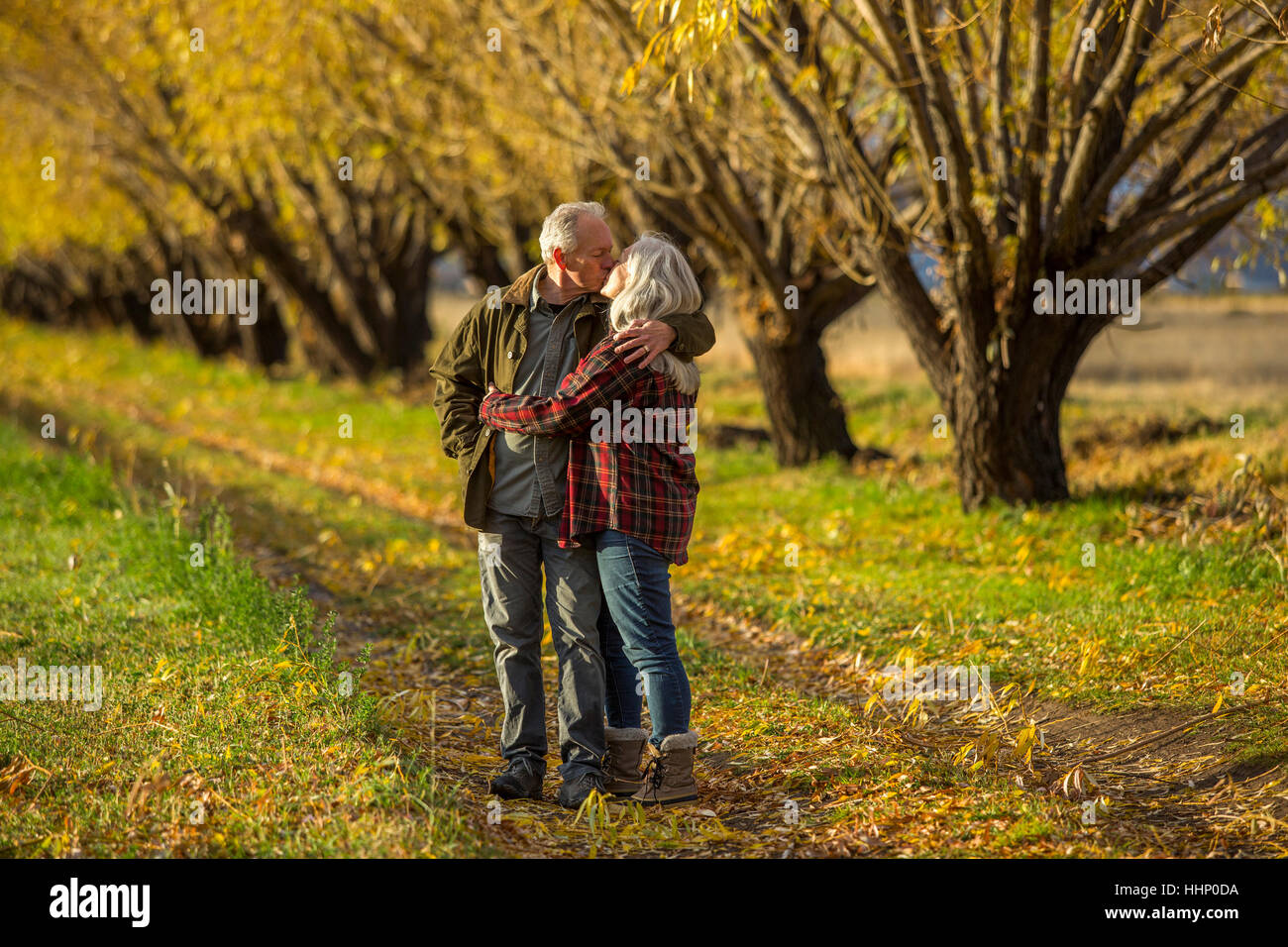 Coppia caucasica kissing nei pressi di alberi in autunno Foto Stock