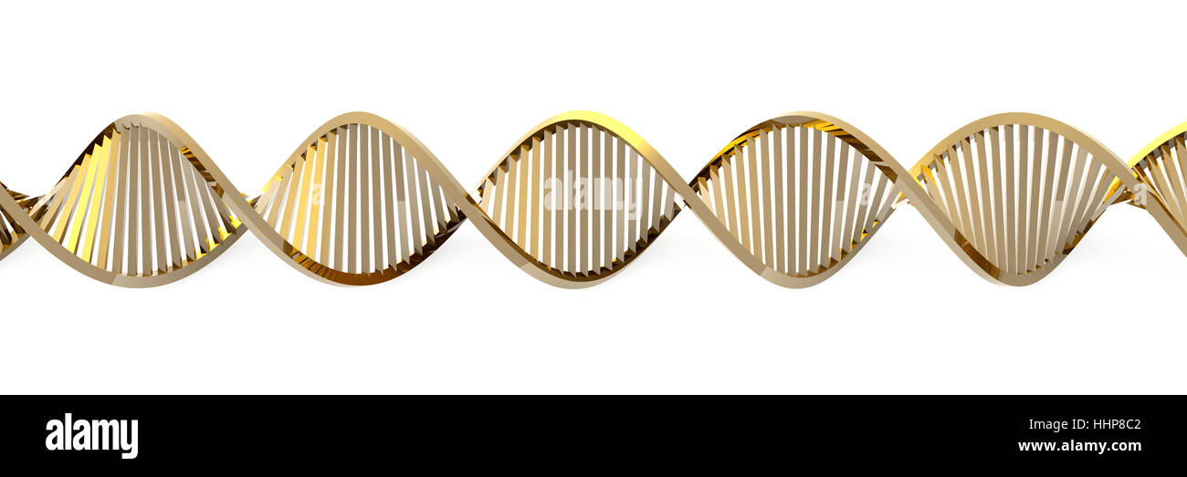 Salute, vita, esistono, esistenza, vivendo, vive, live, isolata, medicalmente, Foto Stock