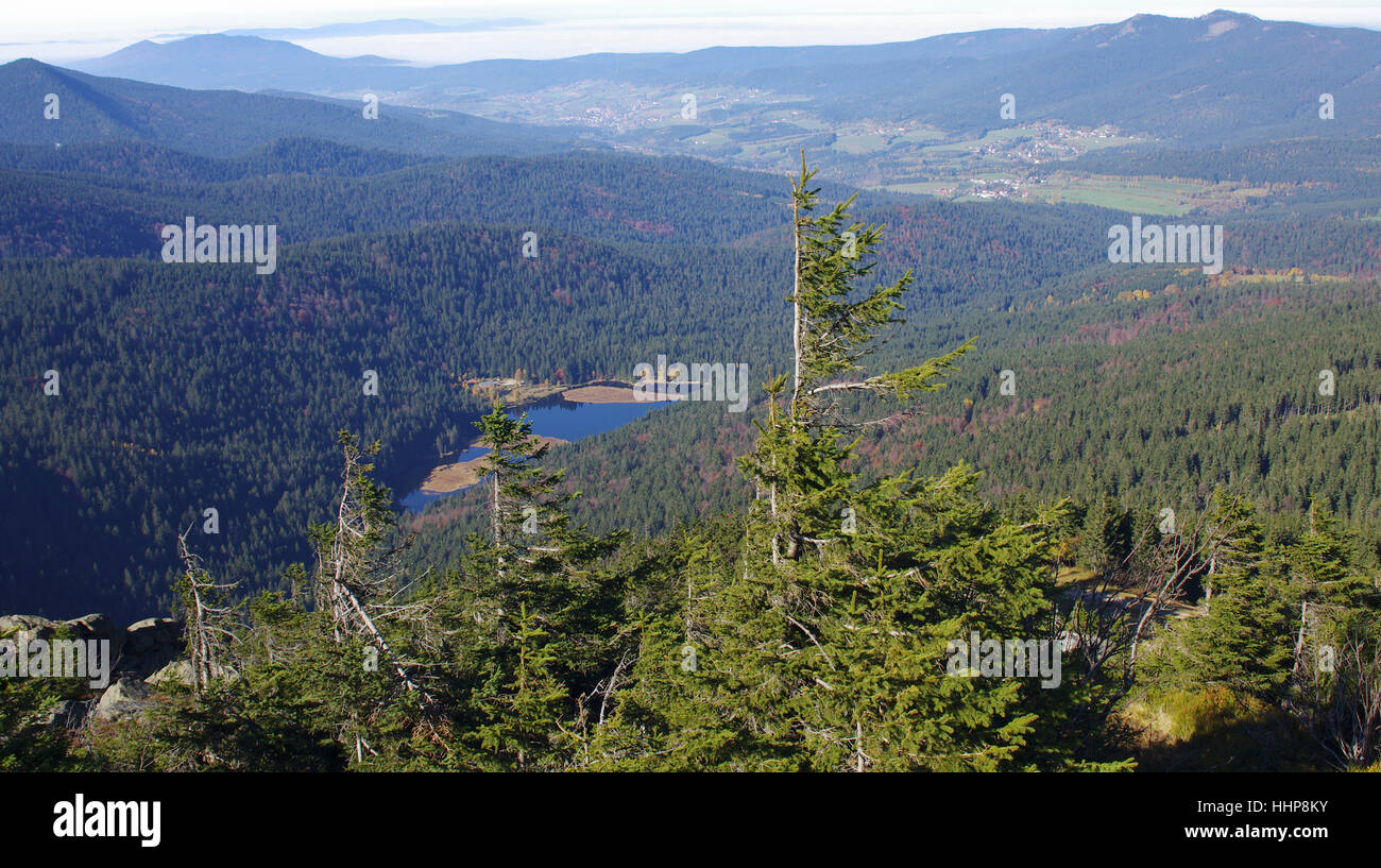 Tra grand arber arber - estate indiana in angolo arber / baia.wald Foto Stock