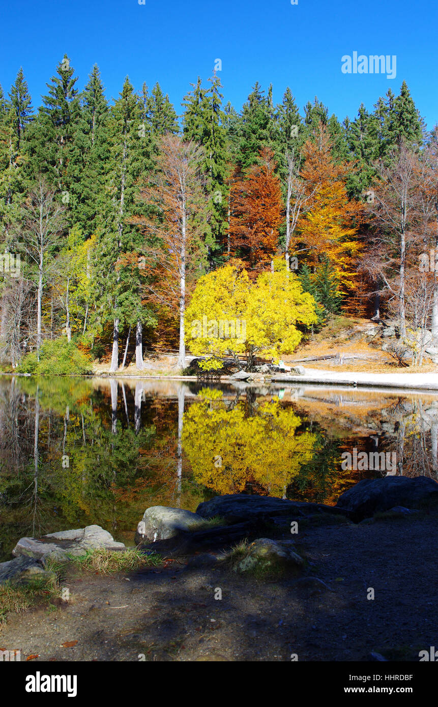 Autunno sul grande arber Foto Stock