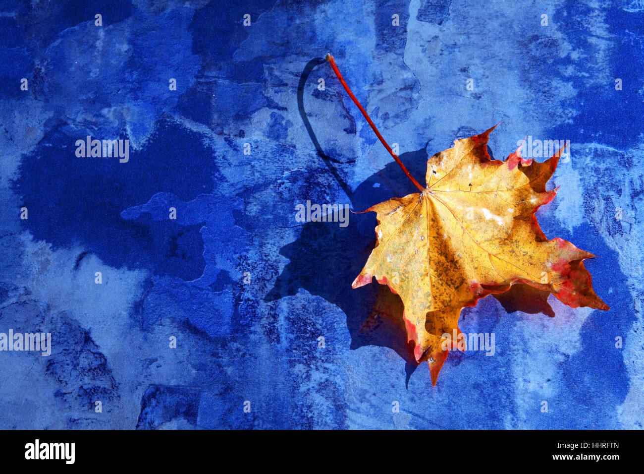 Digiart - le foglie di autunno Foto Stock