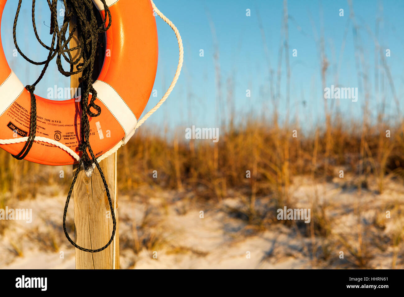 Close up di un salvagente con il mare di avena in background. Foto Stock