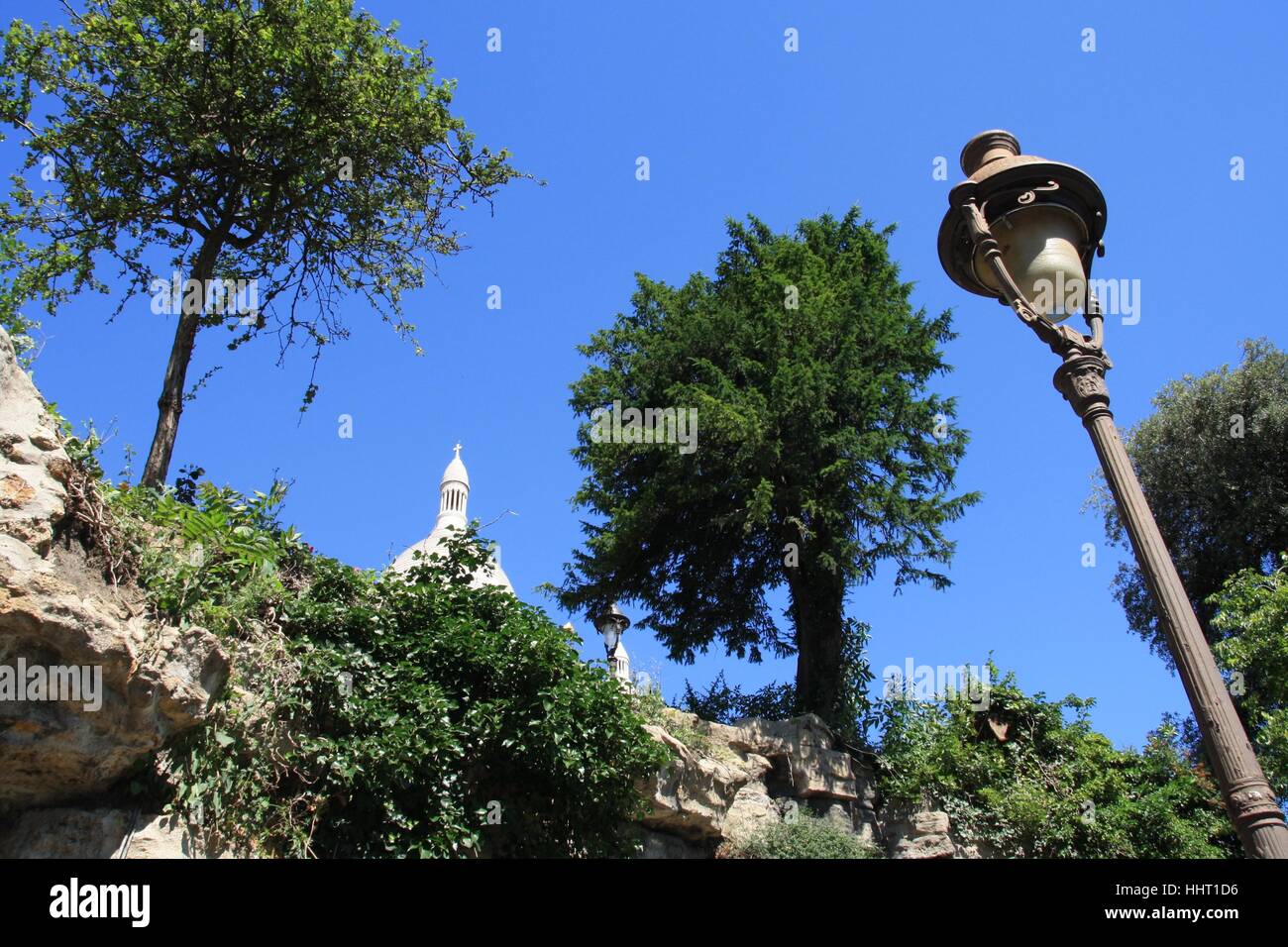 Cattedrale, Parigi, Francia, capitale, worm occhio, blu, albero, alberi, giardino, Foto Stock