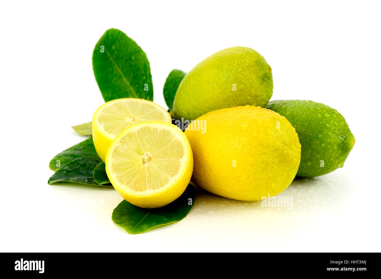 Limone fresco dalla piantagione di organico campo su sfondo bianco. Foto Stock