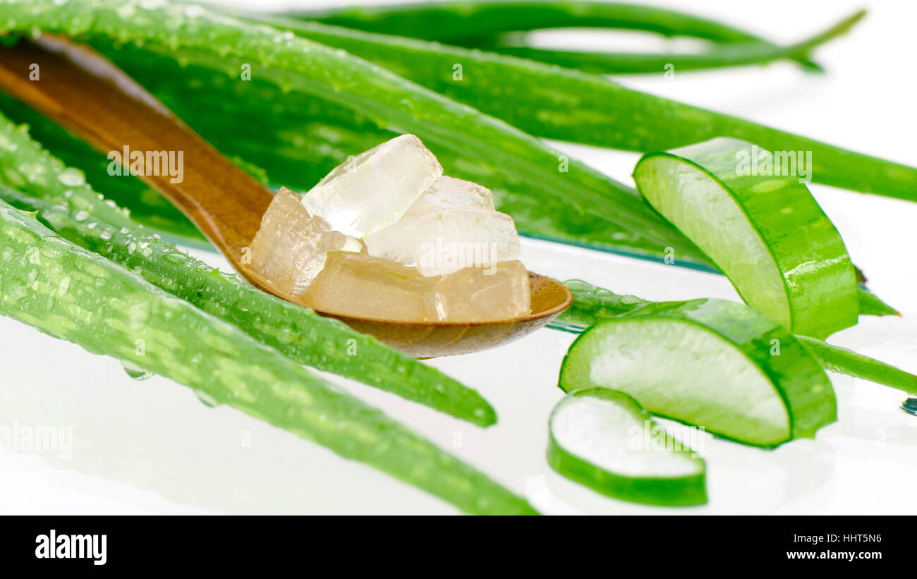 Cucchiaio di aloe vera gel tagliato nel cubo. Aloe vera gel in cucchiaio di legno con Aloe Vera foglie su sfondo bianco. Foto Stock