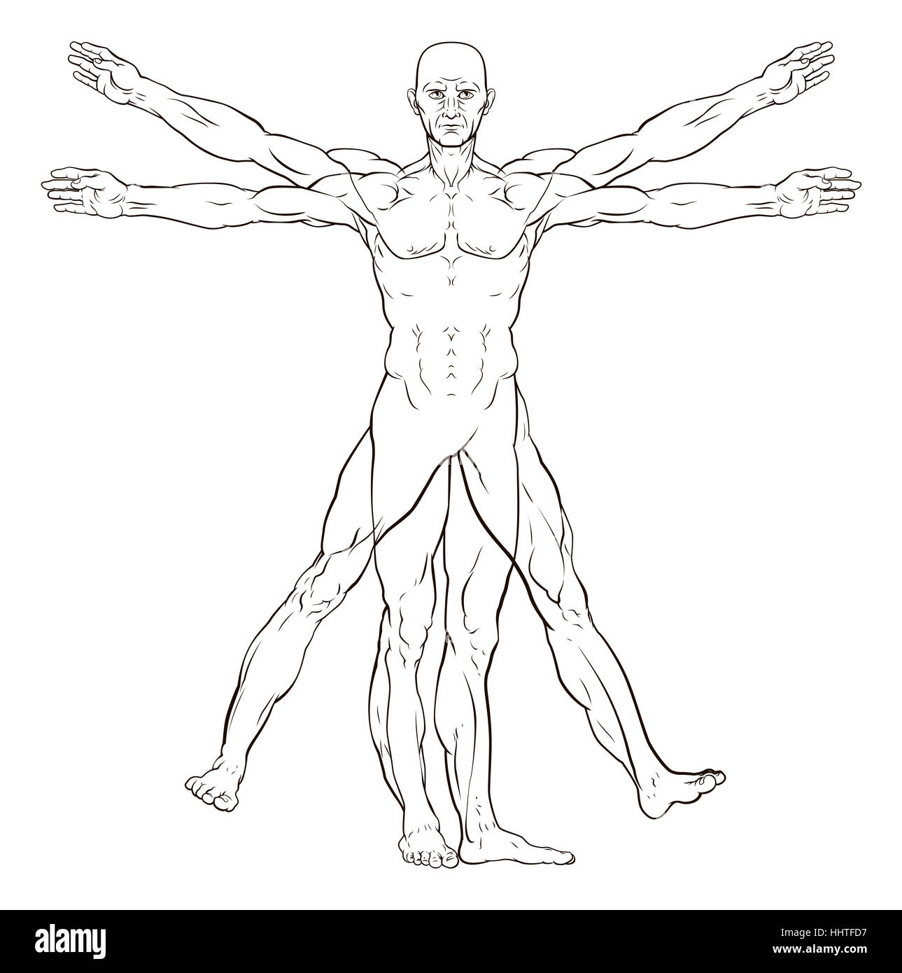 L'uomo vitruviano style figura umana come Leonardo Da Vinci s anatomy illustrazione Foto Stock