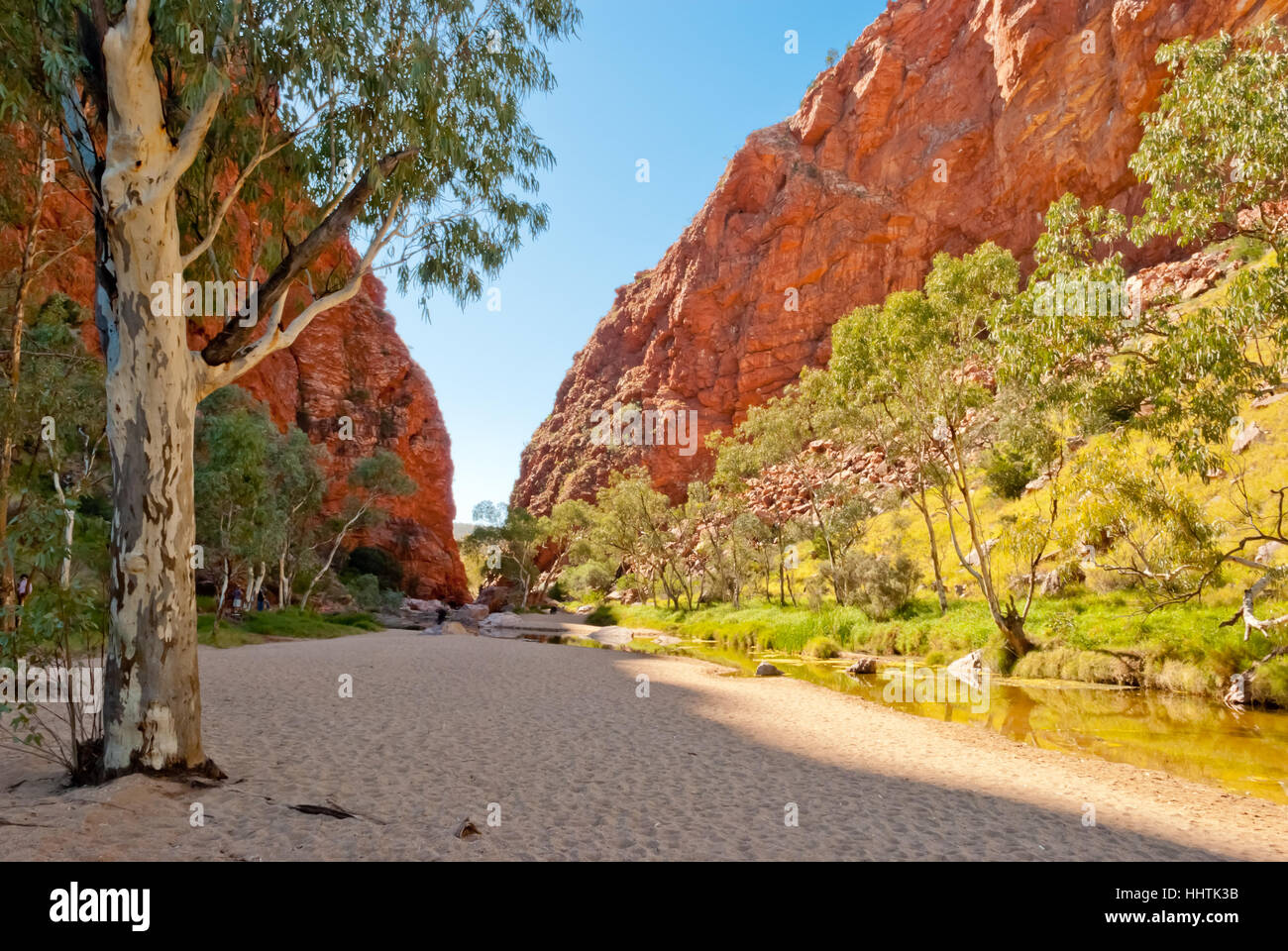 Natura selvaggia al Simpson Gap, Northen Territorio, Australia Foto Stock