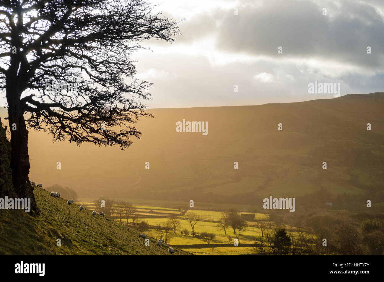 Vista della siluetta Foto Stock