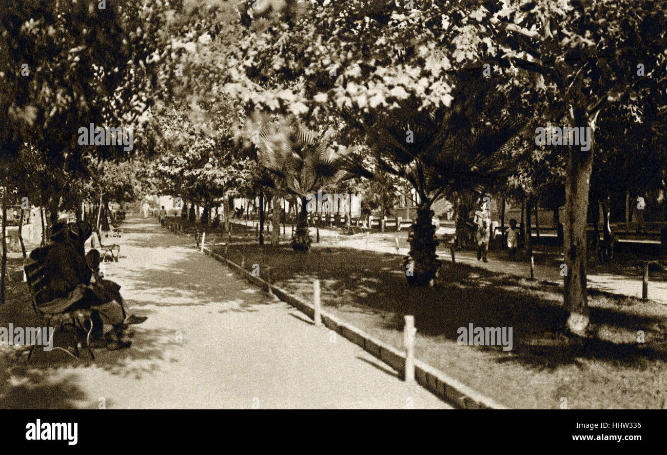 Tel Aviv, Boulevard Rothschild - viale alberato nel centro di strada dopo il tedesco stile di architettura della città. 1930s. Foto Stock
