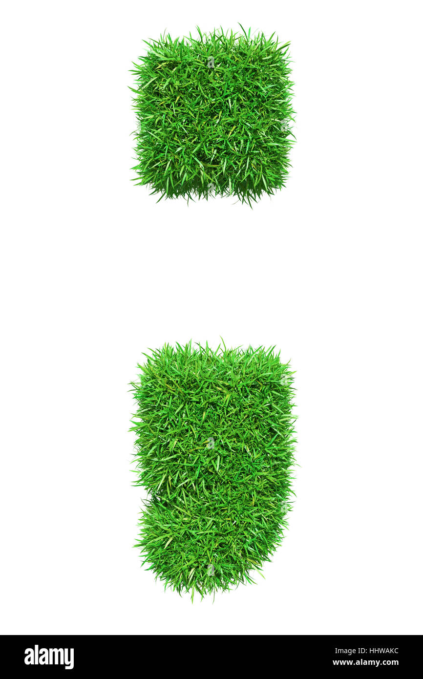 Erba verde punto e virgola Foto Stock