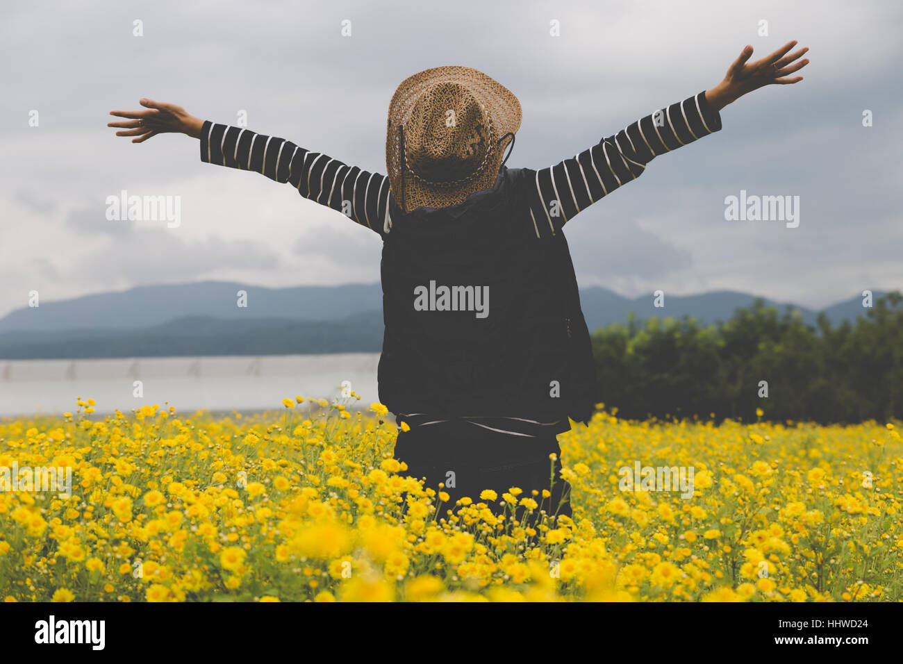 Giovane donna alzare la sua mano fino in crisantemo giallo di Campo dei Fiori, sentirsi felice e libera Foto Stock