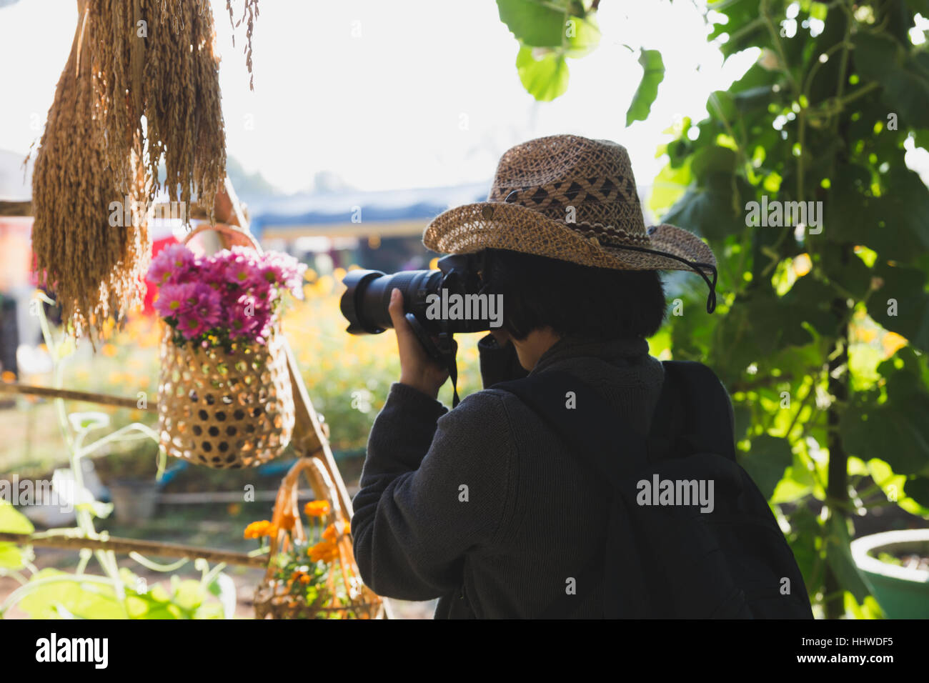 Donna femmina fotografo tenendo la foto del fiore rosa outdoor Foto Stock