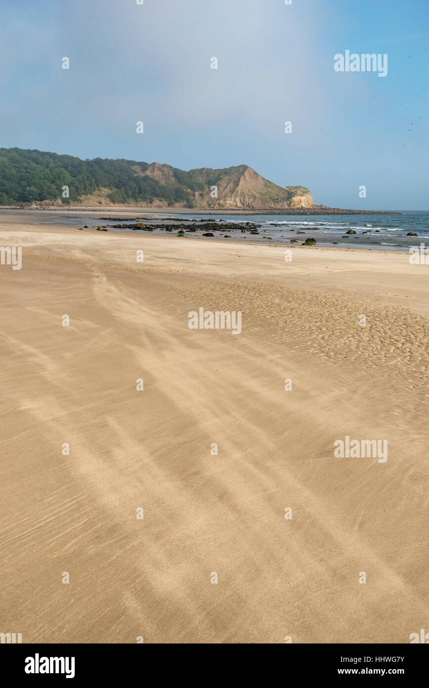 Giornata di vento con sabbia soffiando attraverso la spiaggia di Cayton Bay sulla costa del North Yorkshire, Inghilterra. Foto Stock