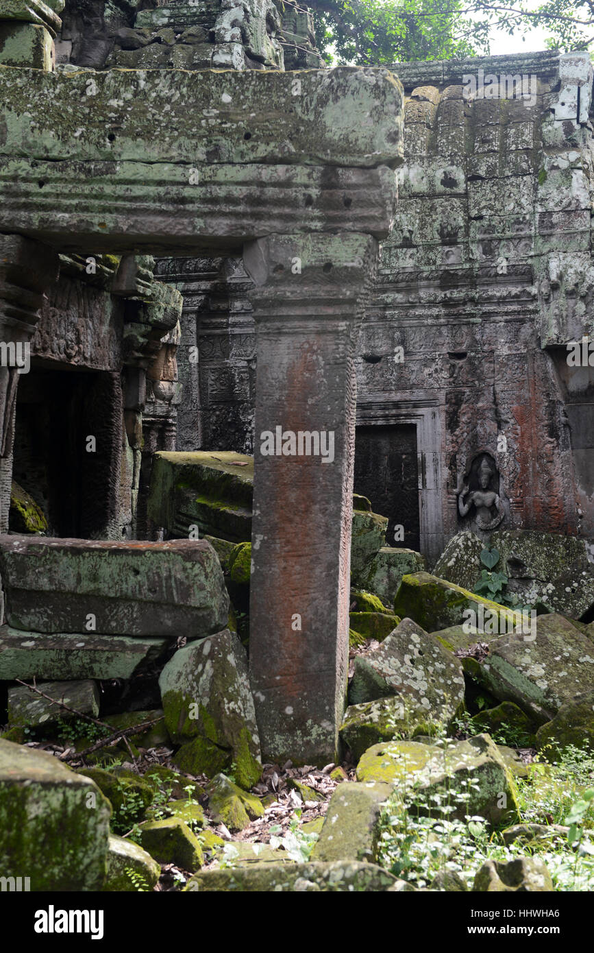 Ta Prohm, Siem Reap, Cambogia, sud-est asiatico. Foto Stock