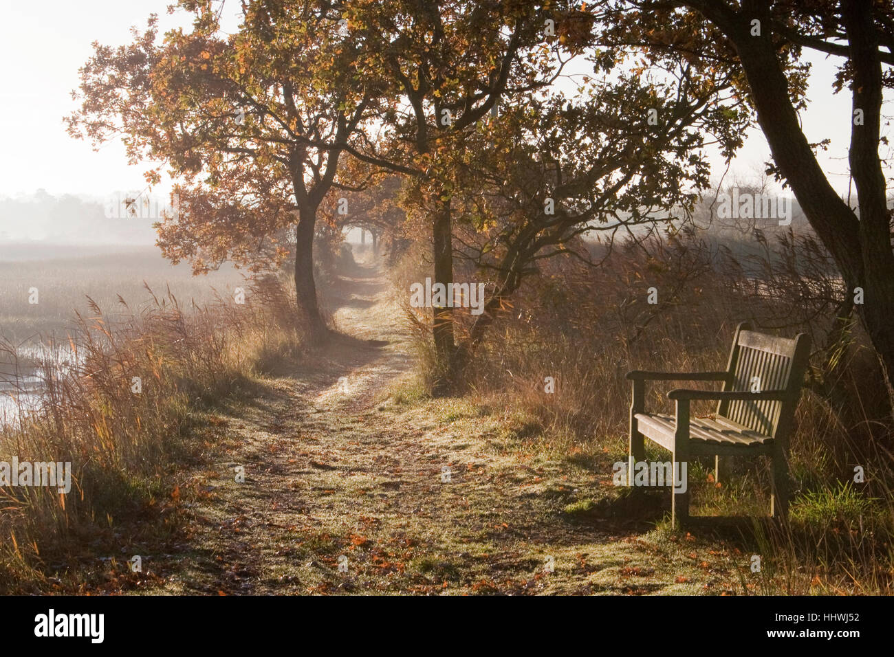 Alba lungo il fiume Blyth, Suffolk, Inghilterra Foto Stock