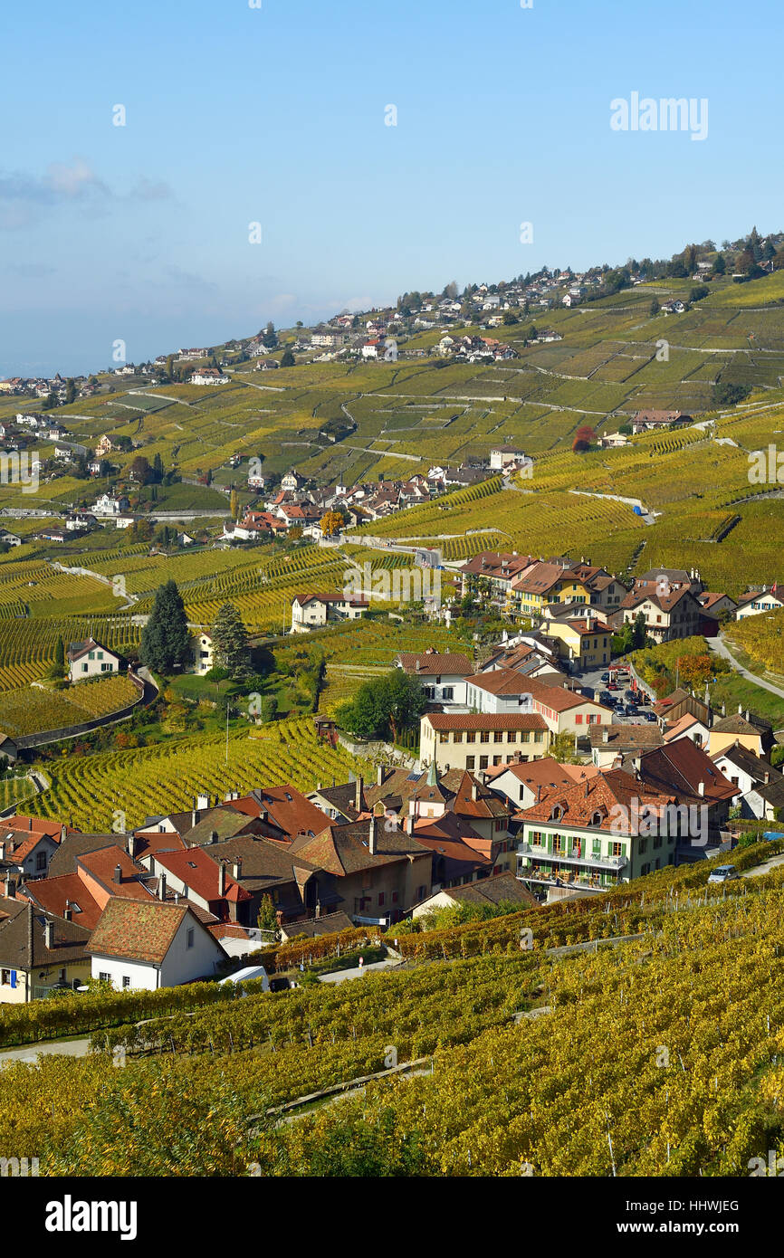 Vigneti in autunno con vista dei villaggi di vinificazione Epesses e Riex, Lavaux, Canton Vaud, Svizzera Foto Stock