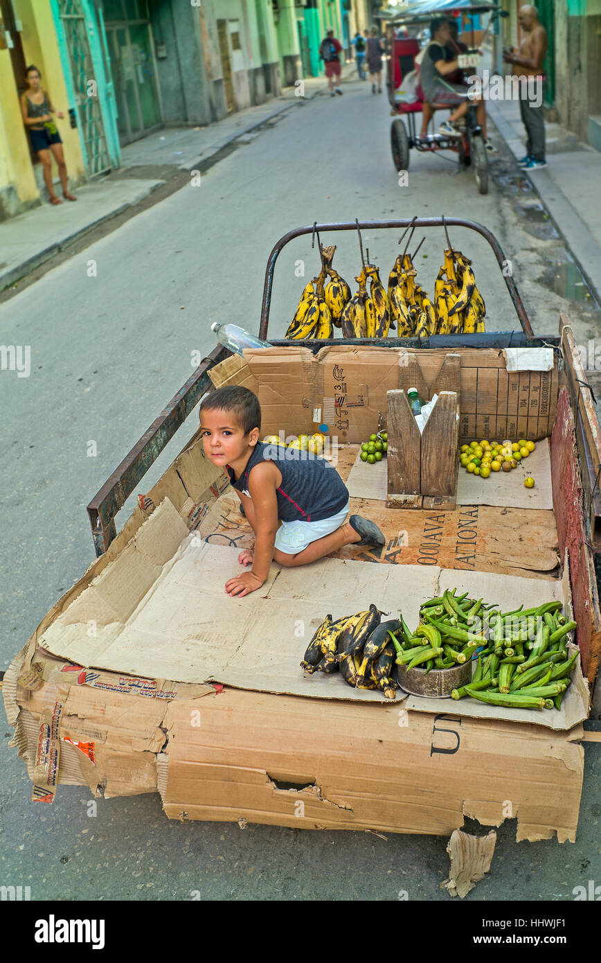 Bambino cubano gioca nel carrello a mano tra la frutta e la verdura Foto Stock