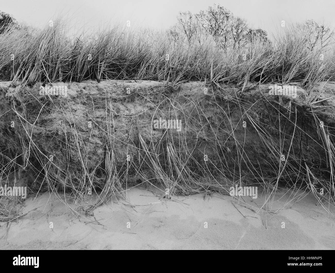 Il lago Michigan Beach erba Foto Stock