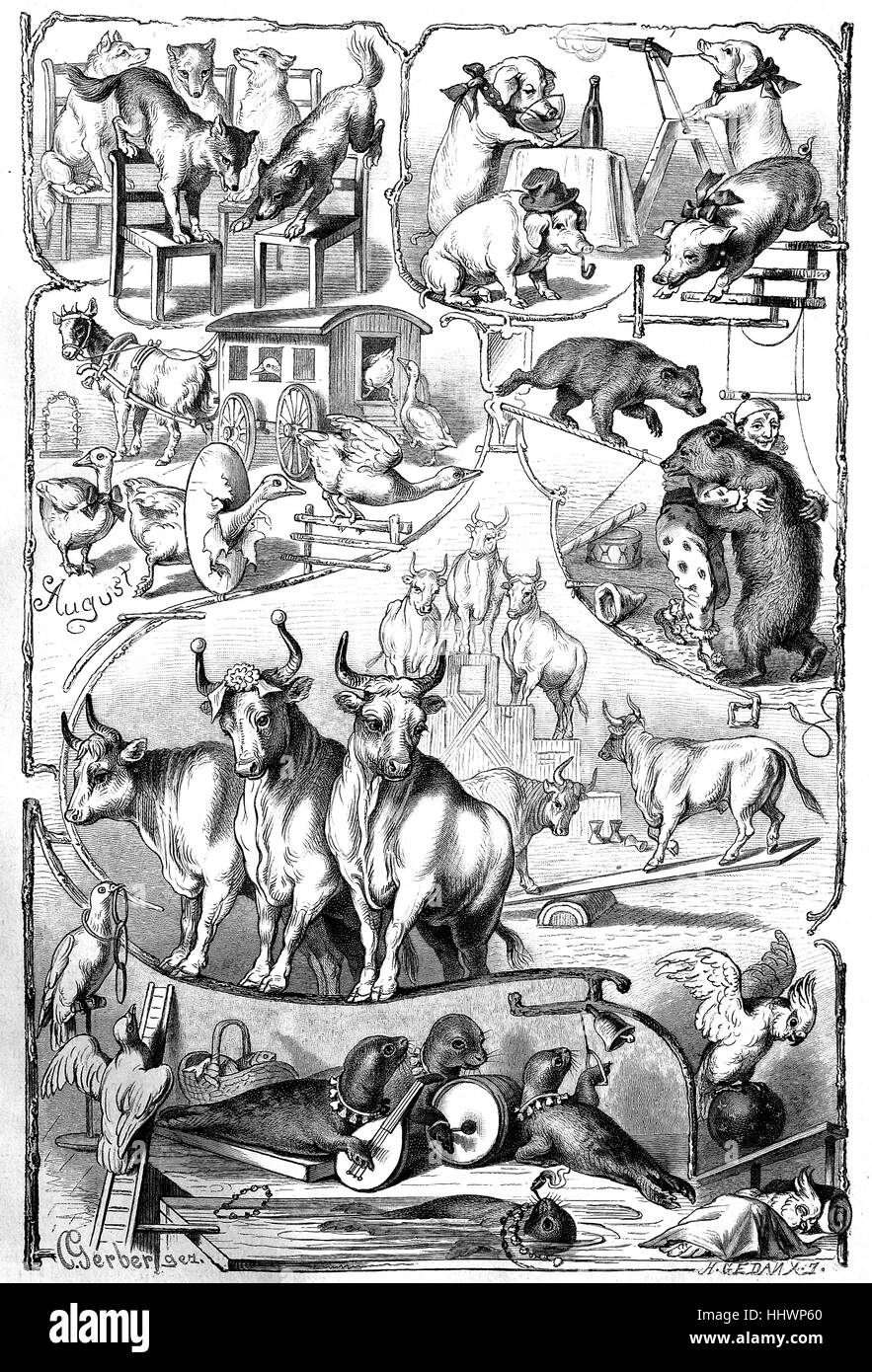 Vestito, animali addestrati, disegno originale da C. Gerber, Germania, immagine storica o illustrazione, pubblicato 1890, digitale migliorata Foto Stock